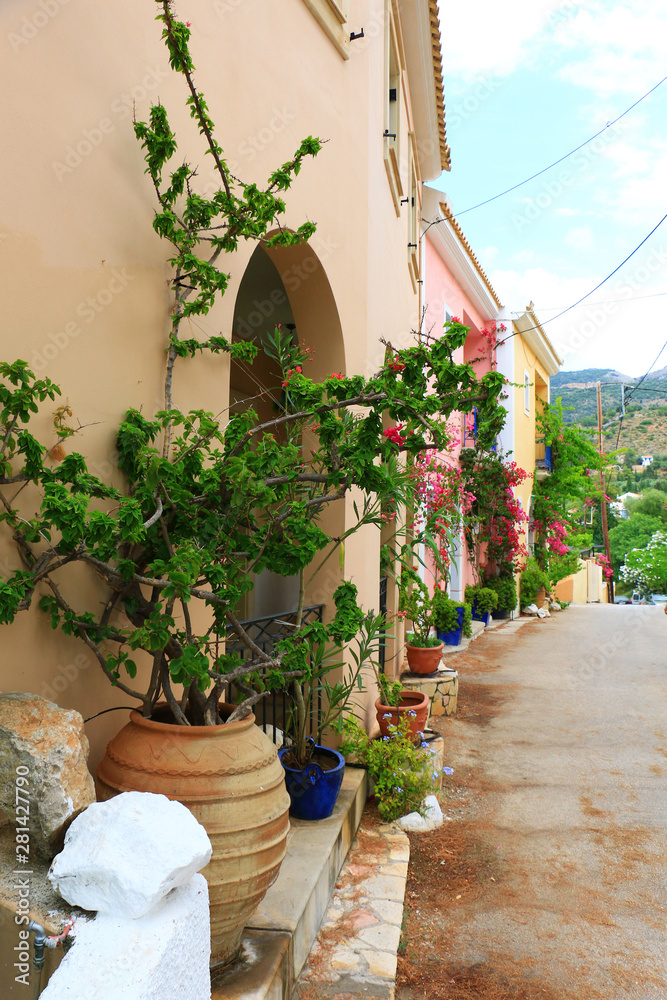 Naklejka premium traditional greek housedoor and flowers