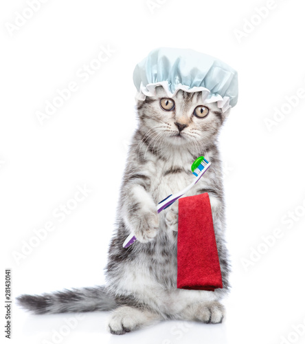 Tabby kitten with shower cap holding   toothbrush and towel. isolated on white background © Ermolaev Alexandr