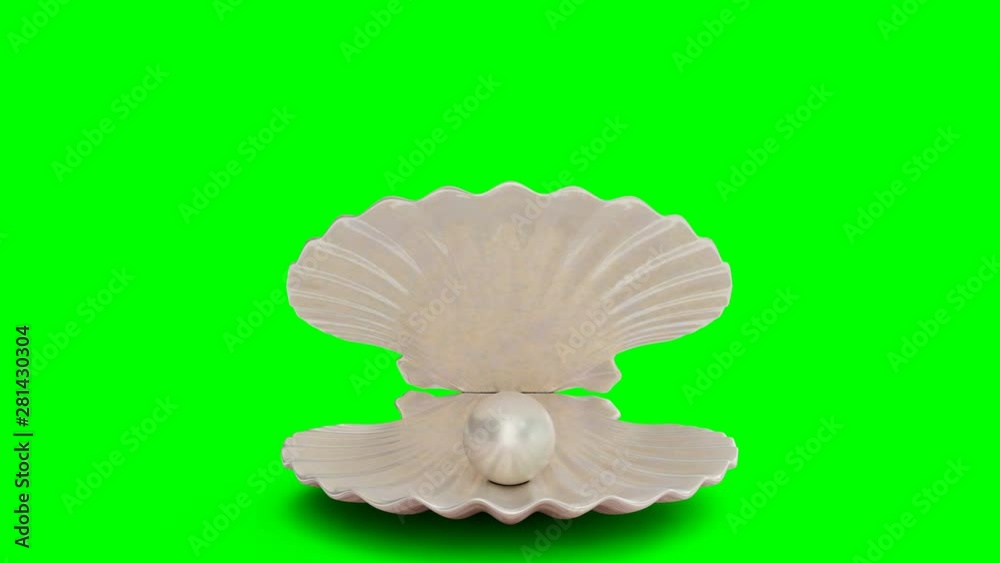 Opens and closes pearl inside sea shell isolated on a green background. Jewelry pearl beads. Brilliant oyster pearl ball for luxury accessories. Brilliant sea pearl. Looping 3D 4K animation