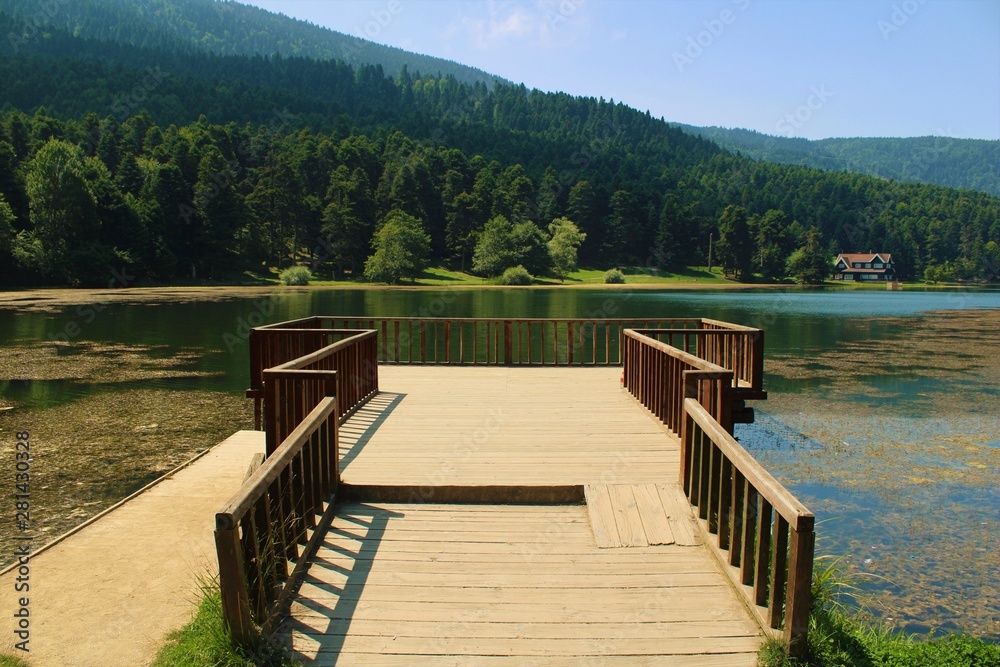 Obraz premium view of the lake