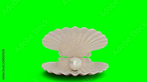 Opens and closes pearl inside sea shell isolated on a green background. Jewelry pearl beads. Brilliant oyster pearl ball for luxury accessories. Brilliant sea pearl. Looping 3D 4K animation
