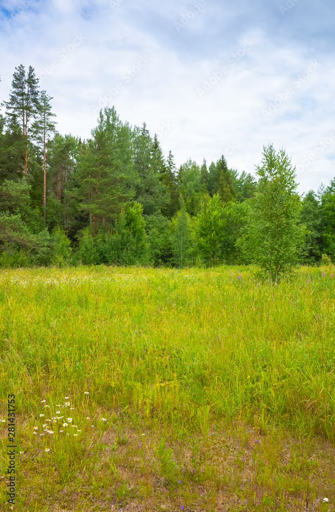 Naklejka premium Landscape with green glade, vertical photo