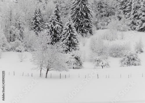 Alpine Winter © alan
