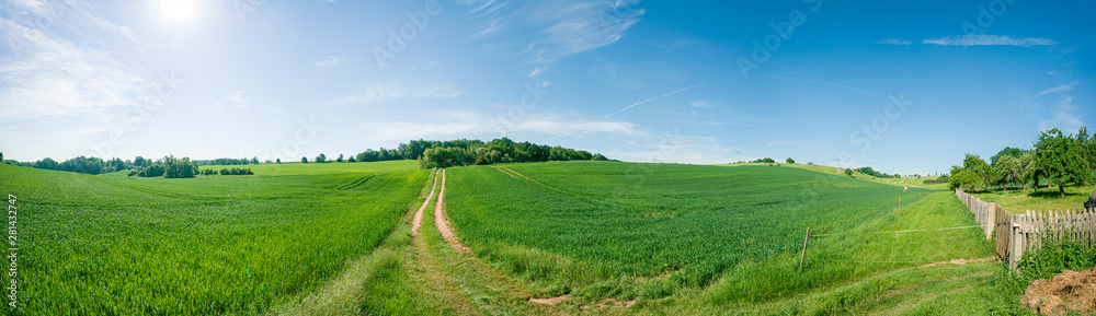 Panorama of summer green field. European rural view. Beautiful landscape of wheat field and green grass with stunning blue sky and cumulus clouds in the background. - obrazy, fototapety, plakaty 