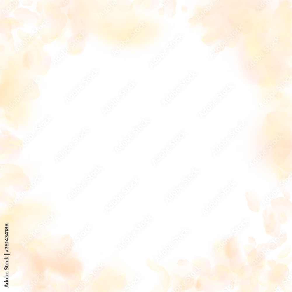 Yellow orange flower petals falling down. Delightf Yellow orange flower petals falling down. Delightf