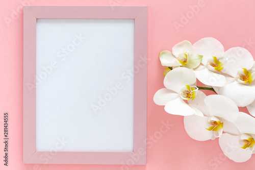 Beautiful White Phalaenopsis orchid flowers on pink background. Top view blank mock up of photo frame on the pink background. Branch of orchid close up. Space for text 