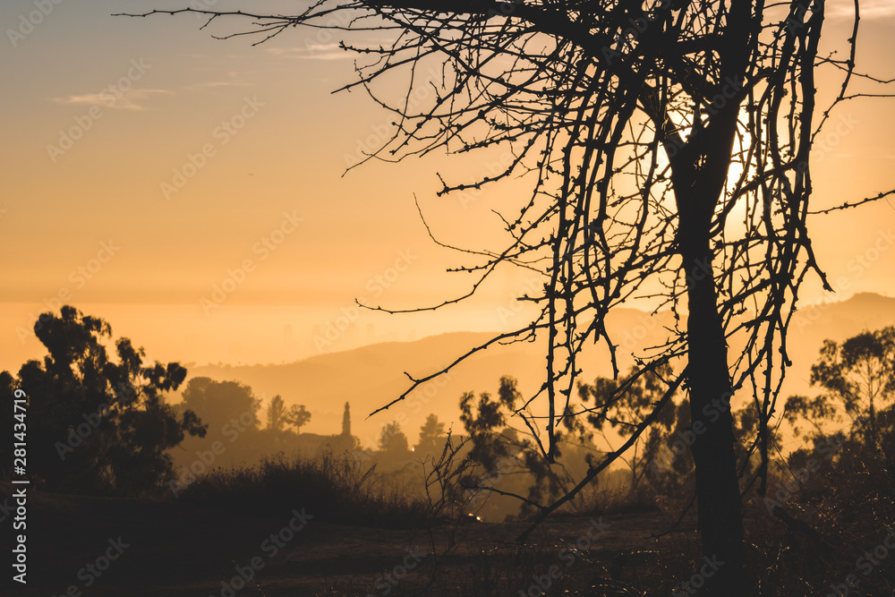 Naklejka premium tree with mountain backdrop during sunset golden hour (moody) in California