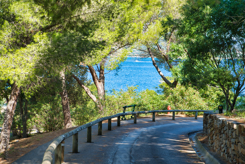 Obraz na płótnie Road to the sea, in the highlands along the green spaces. Yachts in the bay. Resort in the south of France, Saint-Tropez, France. Commune in southeastern France in the region of Provence, France w salonie