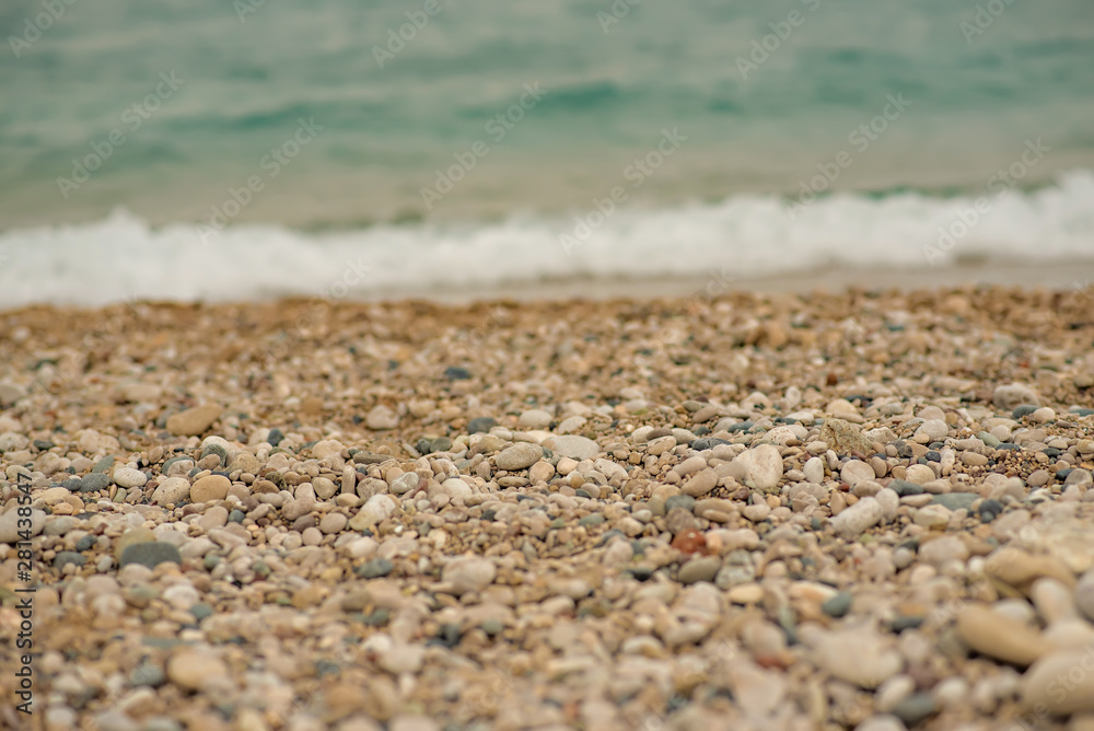 sea background. The sandy beach with shells and a wave sea background. The sandy beach with shells and a wave