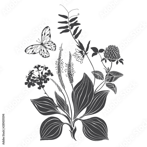 Fototapeta Naklejka Na Ścianę i Meble -  A bouquet of wildflowers and herbs with butterfly. Summer background. Black and white vector illustration. Isolated element for design on white. Silhouette.