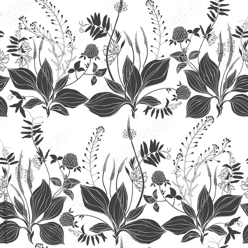 Seamless vector pattern with wildflowers and wildherbs on a white background. Grass mouse peas with flowers, plantain and shepherd's purse, clover. Silhouettes.
