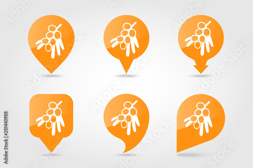 Branch of sea-buckthorn berries pin map icon