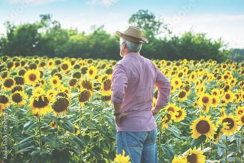 Farmer at his sunflower field