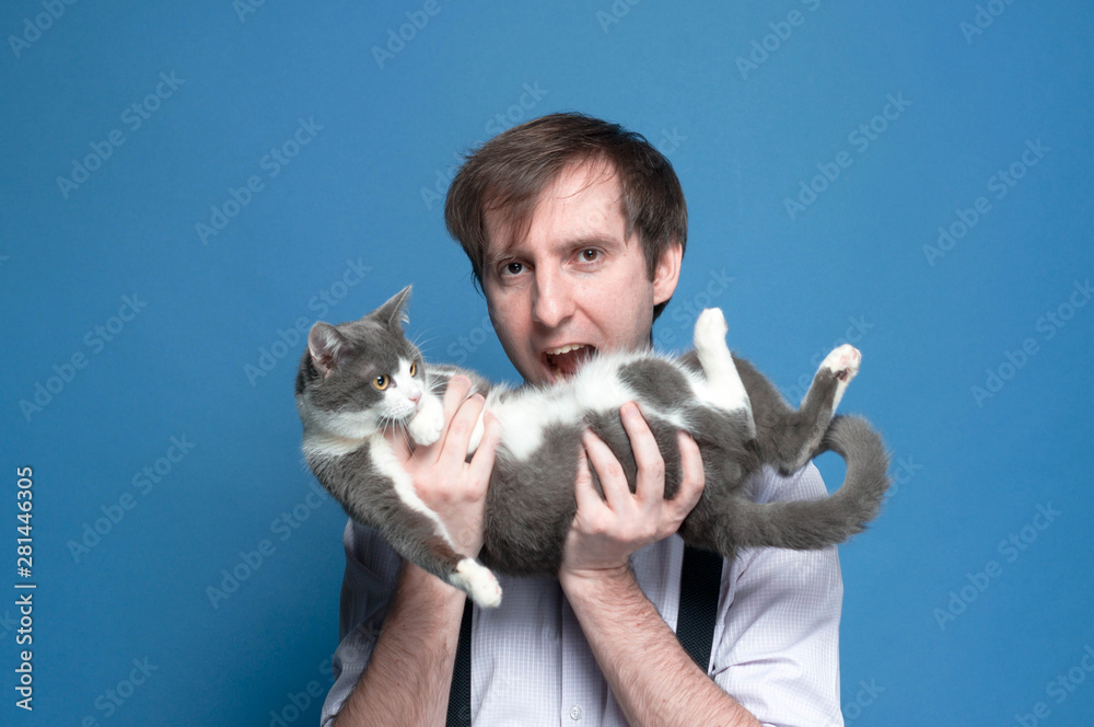 handsome fooling around man holding cute gray and white cat on back and showing as if about going eat cat on blue background handsome fooling around man holding cute gray and white cat on back and showing as if about going eat cat on blue background