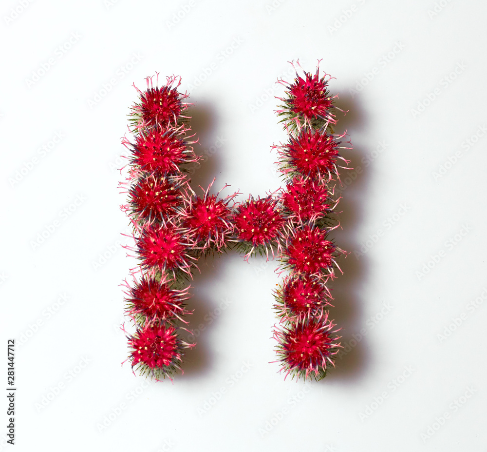 A letter from a flower to compose words in design. A letter from a flower to compose words in design.