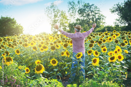 Farmer in a sunflower field. Agricultural concept