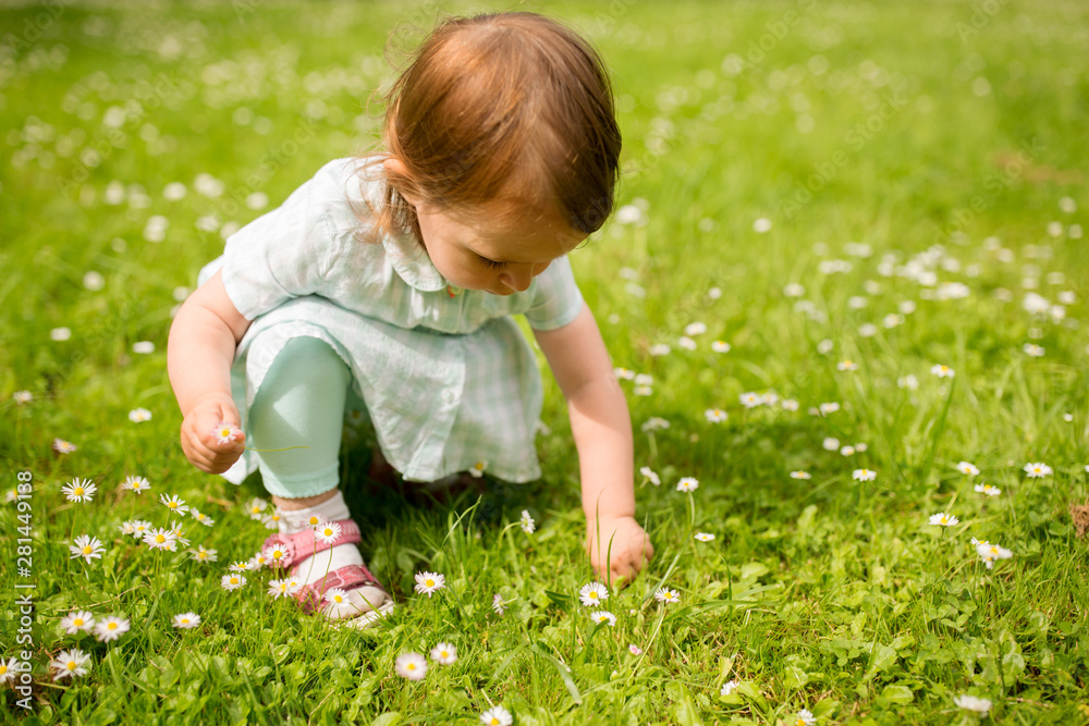 childhood, leisure and people concept - happy little baby girl playing with flowers at park in summer childhood, leisure and people concept - happy little baby girl playing with flowers at park in summer