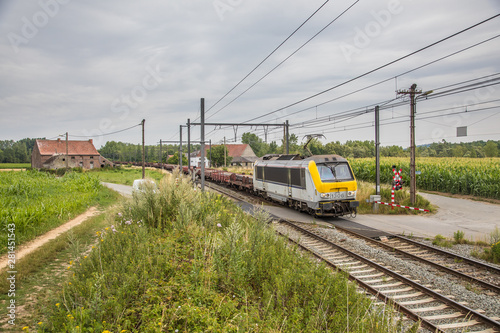 Obraz na plátně Freight train on a level crossing