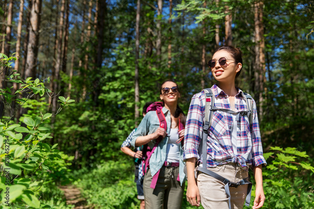 travel, tourism, hike and people concept - group of friends walking with backpacks in forest travel, tourism, hike and people concept - group of friends walking with backpacks in forest