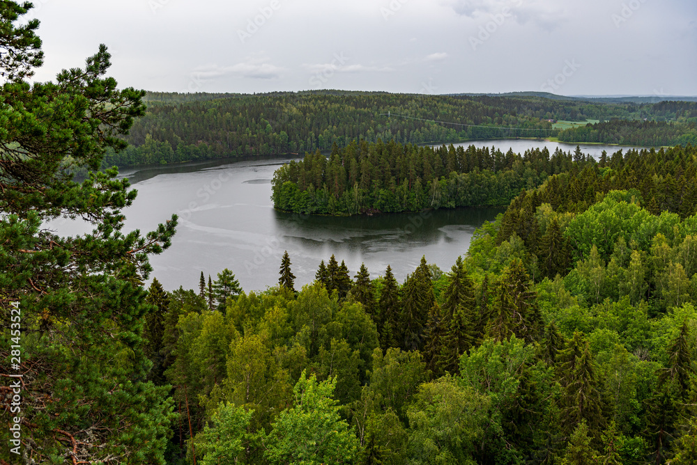 Finnish forest landscape with lake on a rainy day
