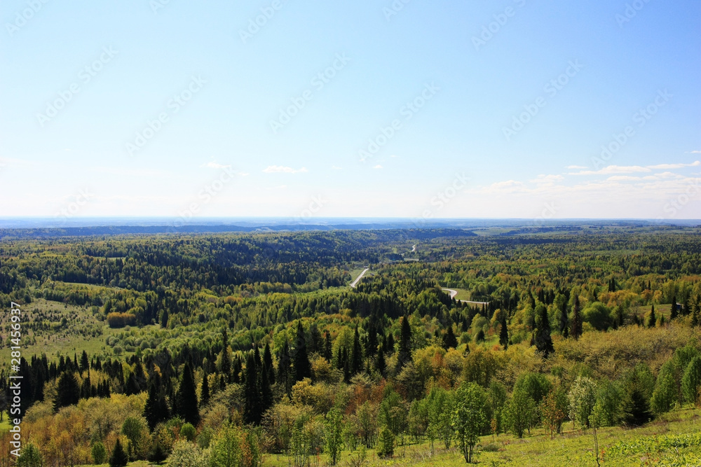 Green forests in the Siberian taiga Green forests in the Siberian taiga