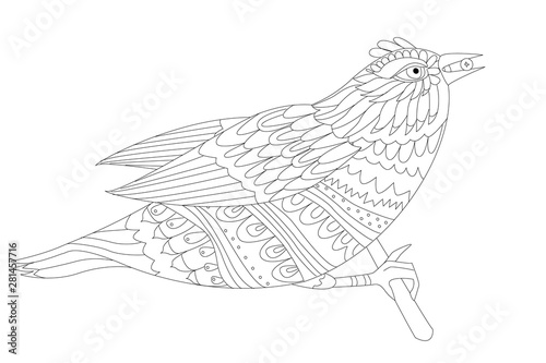 quick bird sitting on a bough for your coloring page