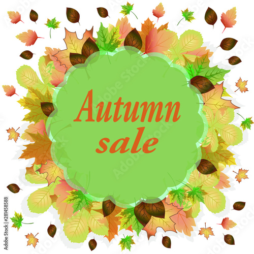 Autumn discount sale banner leaves vector illustration poster colored poster background