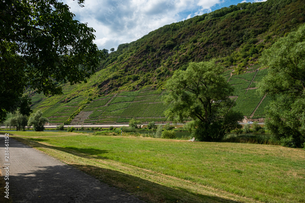 Weinberge an der Mosel, Vineyards on the Moselle Weinberge an der Mosel, Vineyards on the Moselle