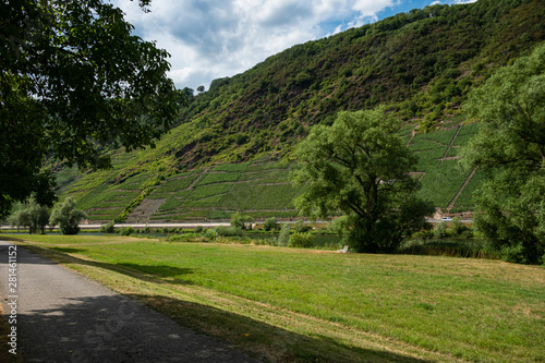 Weinberge an der Mosel, Vineyards on the Moselle