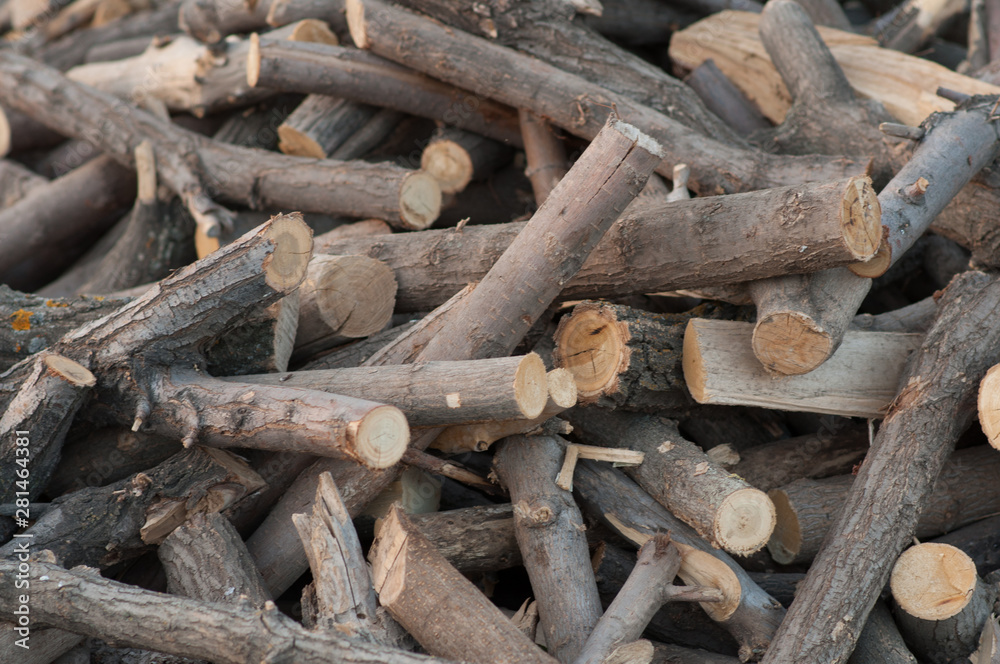 chop firewood chop firewood