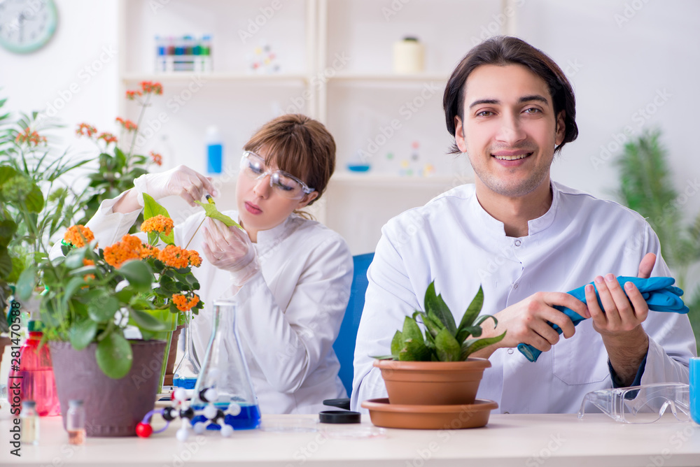 Two young botanist working in the lab