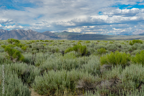 Panoramic view of Green wild land with sagebrush plant and mountain in the background during clouded summer day next the Lake Crowley, Eastern Sierra, Mono County, California, USA. 