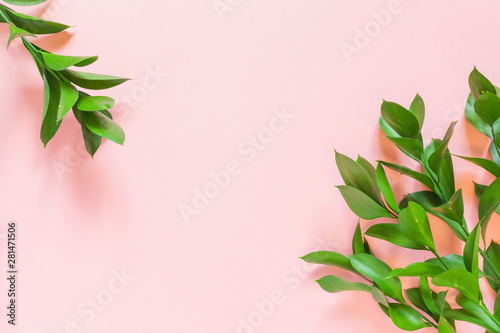Green branches of ruscus on pink background. Flat lay, top view, copy space