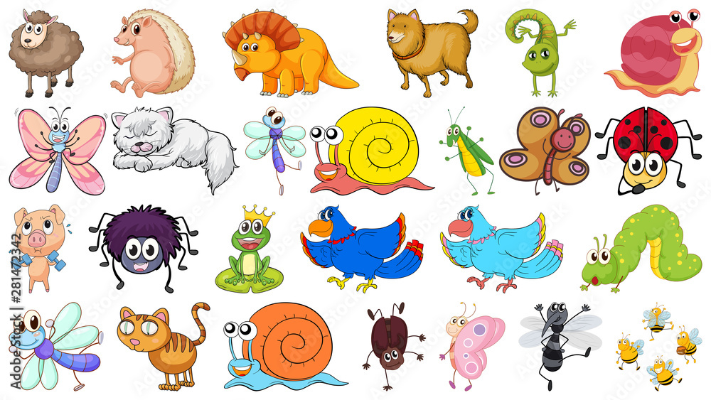 Fototapeta premium Set of various animals