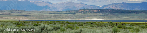 Panoramic view of Green wild land with sagebrush plant and mountain in the background during clouded summer day next the Lake Crowley, Eastern Sierra, Mono County, California, USA. 