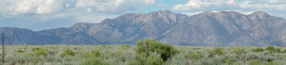 Panoramic view of Green wild land with sagebrush plant and mountain in the background during clouded summer day next the Lake Crowley, Eastern Sierra, Mono County, California, USA. Panoramic view of Green wild land with sagebrush plant and mountain in the background during clouded summer day next the Lake Crowley, Eastern Sierra, Mono County, California, USA.