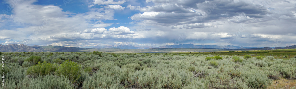 Panoramic view of Green wild land with sagebrush plant and mountain in the background during clouded summer day next the Lake Crowley, Eastern Sierra, Mono County, California, USA. 