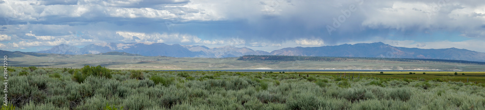 Panoramic view of Green wild land with sagebrush plant and mountain in the background during clouded summer day next the Lake Crowley, Eastern Sierra, Mono County, California, USA. Panoramic view of Green wild land with sagebrush plant and mountain in the background during clouded summer day next the Lake Crowley, Eastern Sierra, Mono County, California, USA.