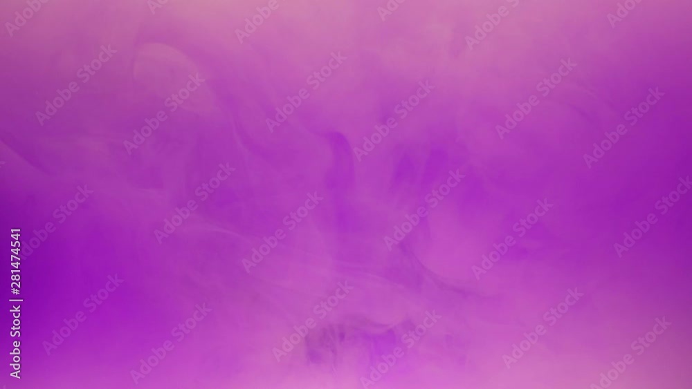 Colorful violet ink mixing in water, swirling softly underwater with copy space. Colored acrylic cloud of paint isolated. Abstract smoke explosion animation. Art background. Slow motion.