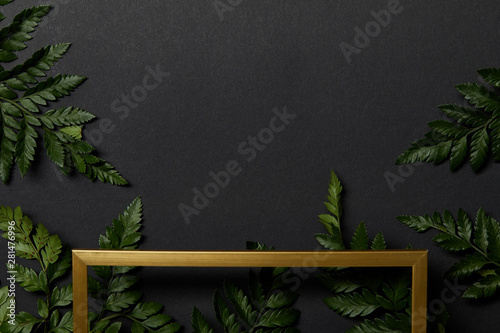 Fototapeta Naklejka Na Ścianę i Meble -  top view of empty golden frame on black background with copy space and green fern leaves