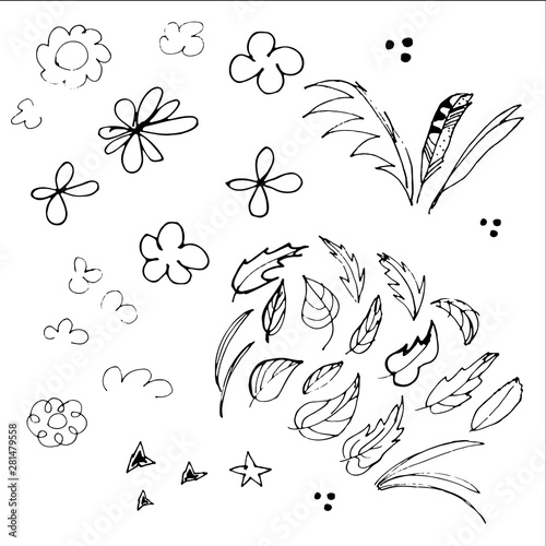 Vector doodle set in black and white colors with flowers, feathers and leaves