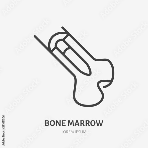 Bone marrow flat line icon. Vector thin pictogram of human skeleton structure, outline illustration for orthopedic clinic photo