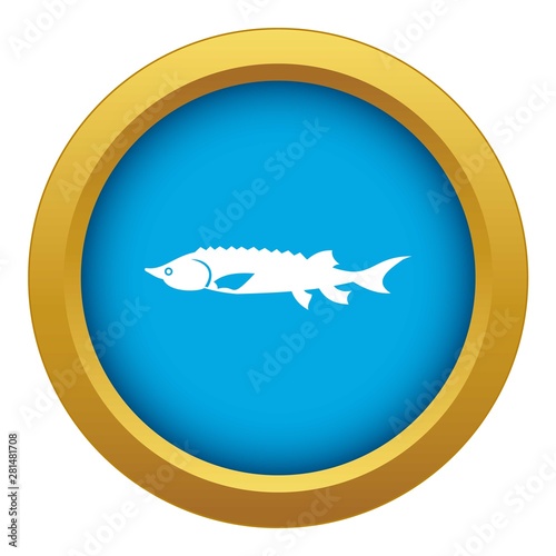 Fresh sturgeon fish icon blue vector isolated on white background for any design