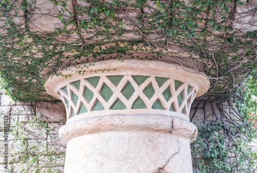 Abstract decorative stone column with growing vine, weed and roots. Isolated stone facade column. 