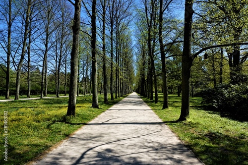 Sunny alley in the French Garden, Celle