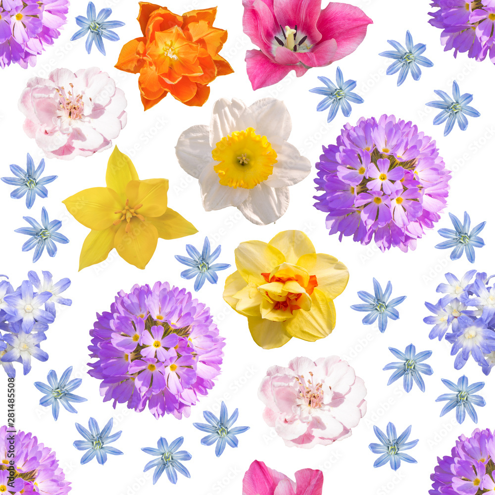 spring flowers seamless  pattern
