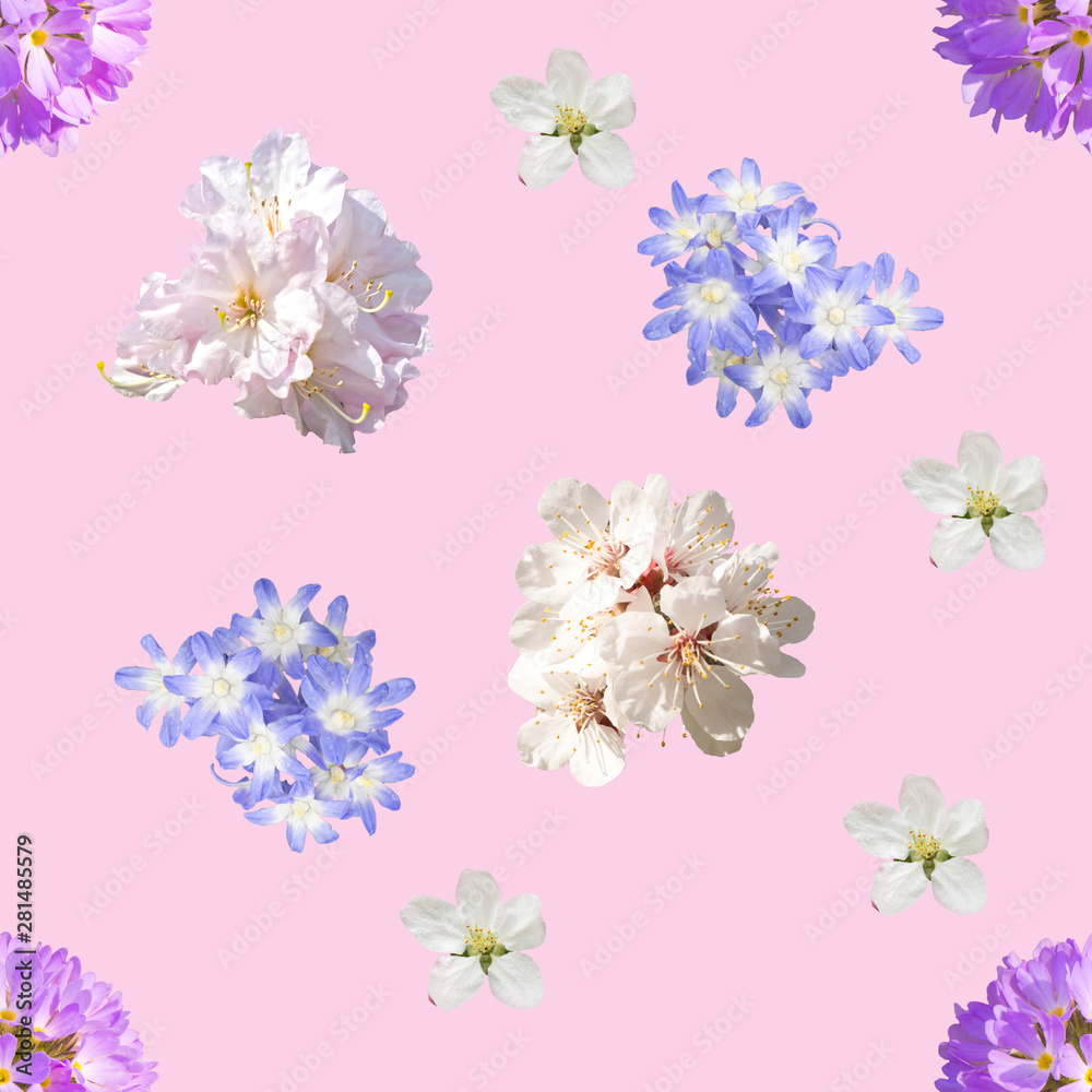 spring flowers seamless pattern spring flowers seamless pattern