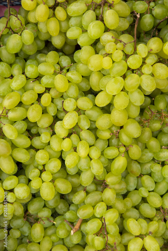 Green bunches of grapes, fresh crop at the farmers market.