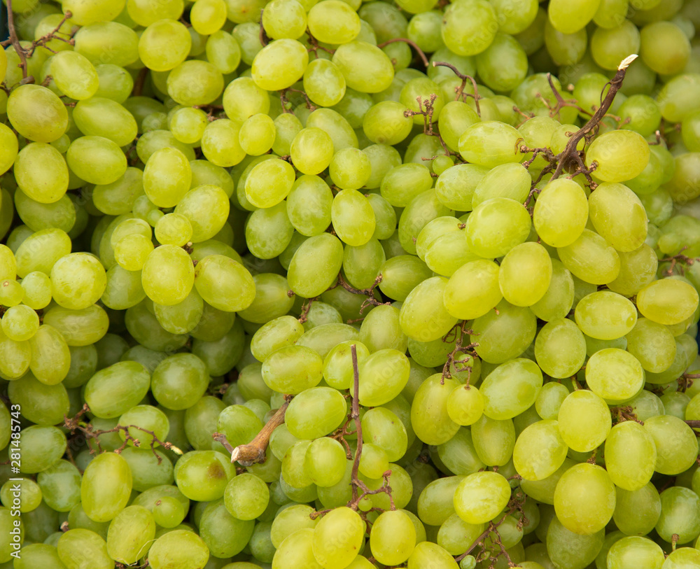 Green bunches of grapes, fresh crop at the farmers market.