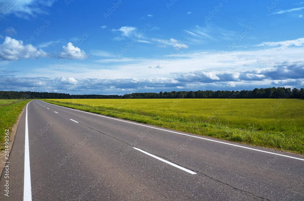 Empty asphalt road in the countryside going through the fields, forest in the background. Sunny summer day, blue sky with white clouds. View from left side